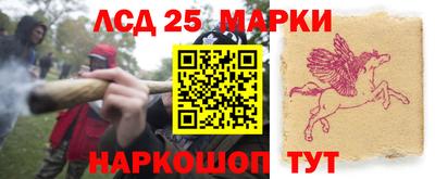 прущие грибы Гудермес