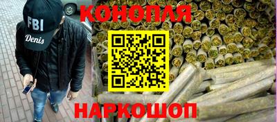 прущие грибы Гудермес