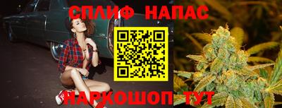 прущие грибы Гудермес