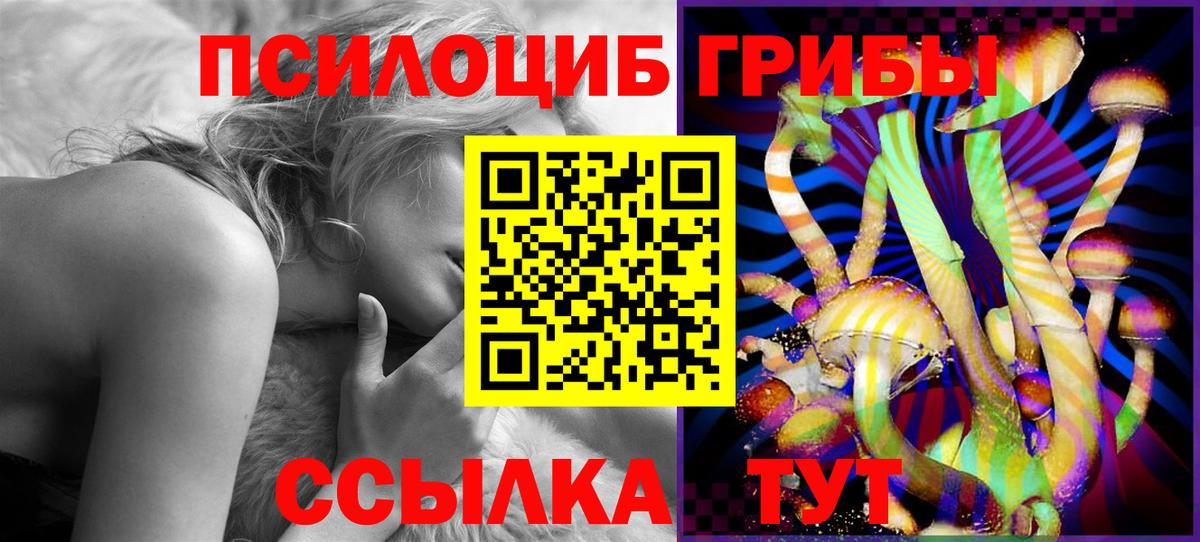 Псилоцибиновые грибы прущие грибы  где можно купить наркотик  Партизанск  Вход с VPN 