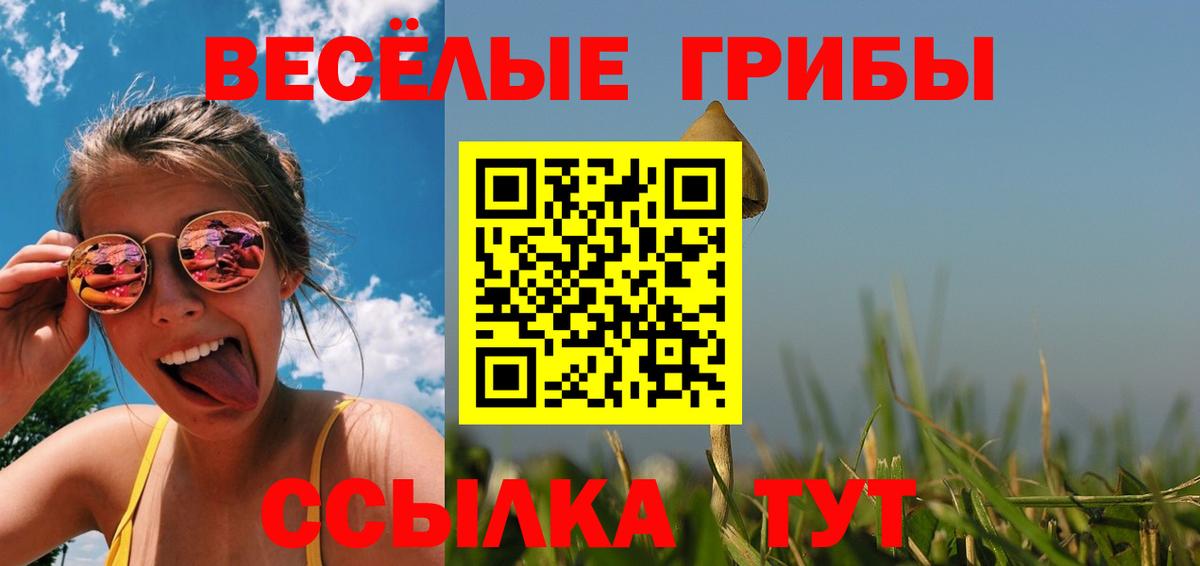 Псилоцибиновые грибы прущие грибы Партизанск